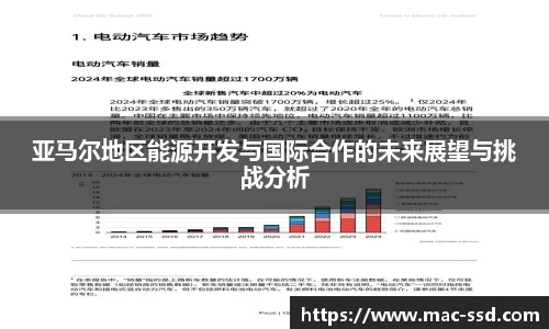 亚马尔地区能源开发与国际合作的未来展望与挑战分析